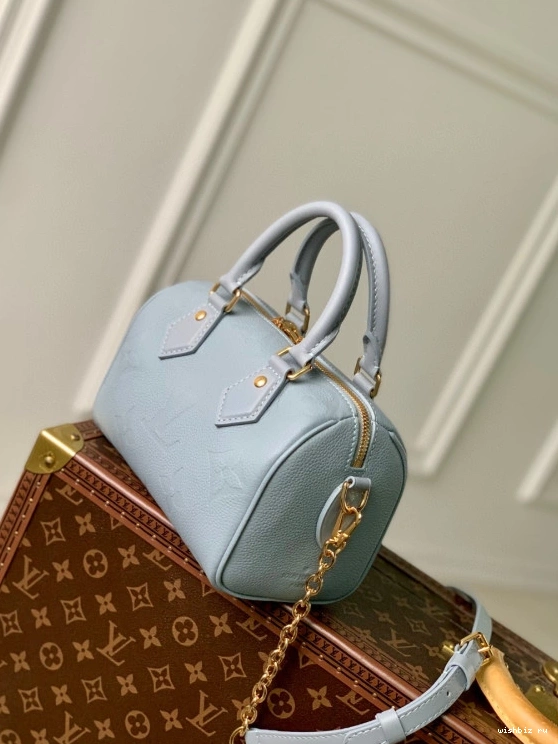 WIS SPEEDY VUITTON 20 BANDOULIÈRE LOUIS 1210